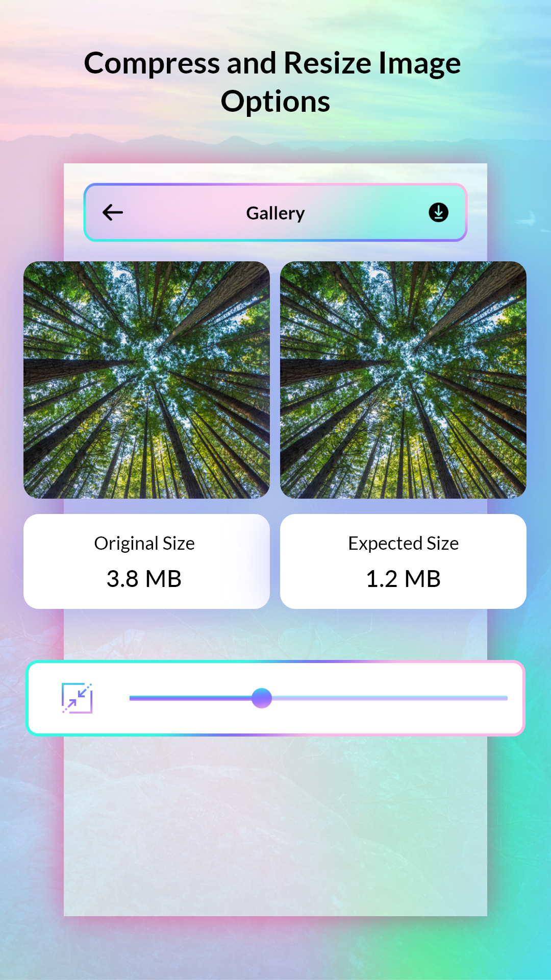 PixyTrim - Perfect Photo Editor gallery image