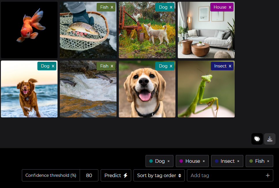 ImageSorter.io media 3