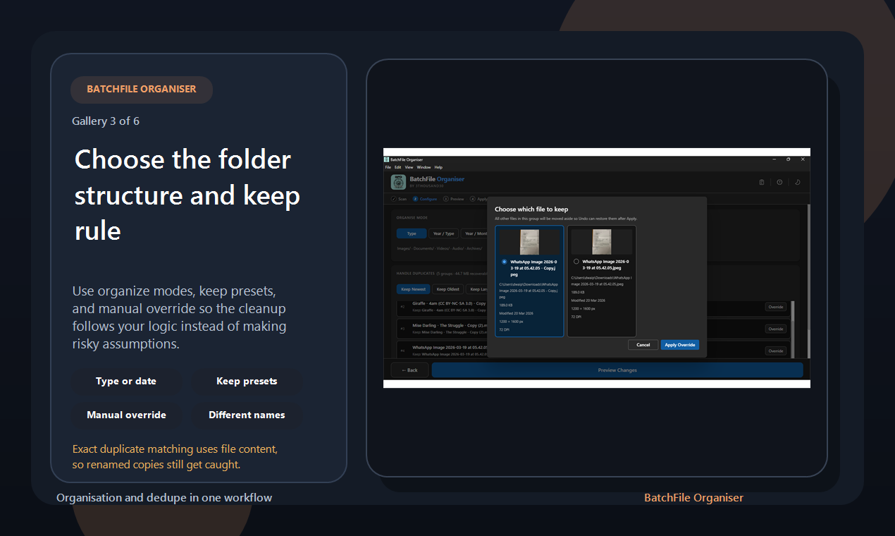 BatchFile Organiser gallery image