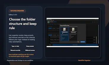 BatchFile Organiser gallery image