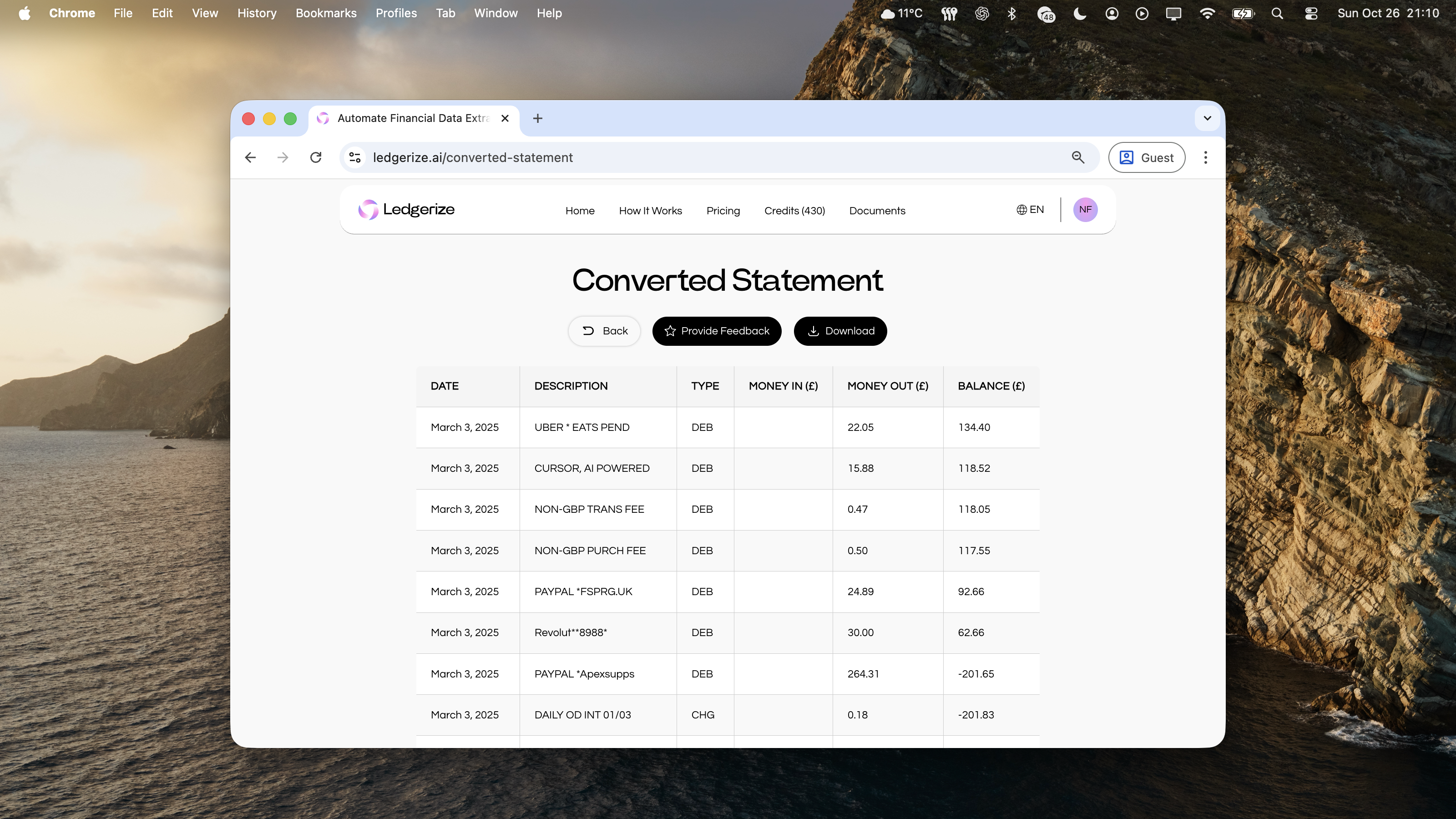 Ledgerize gallery image