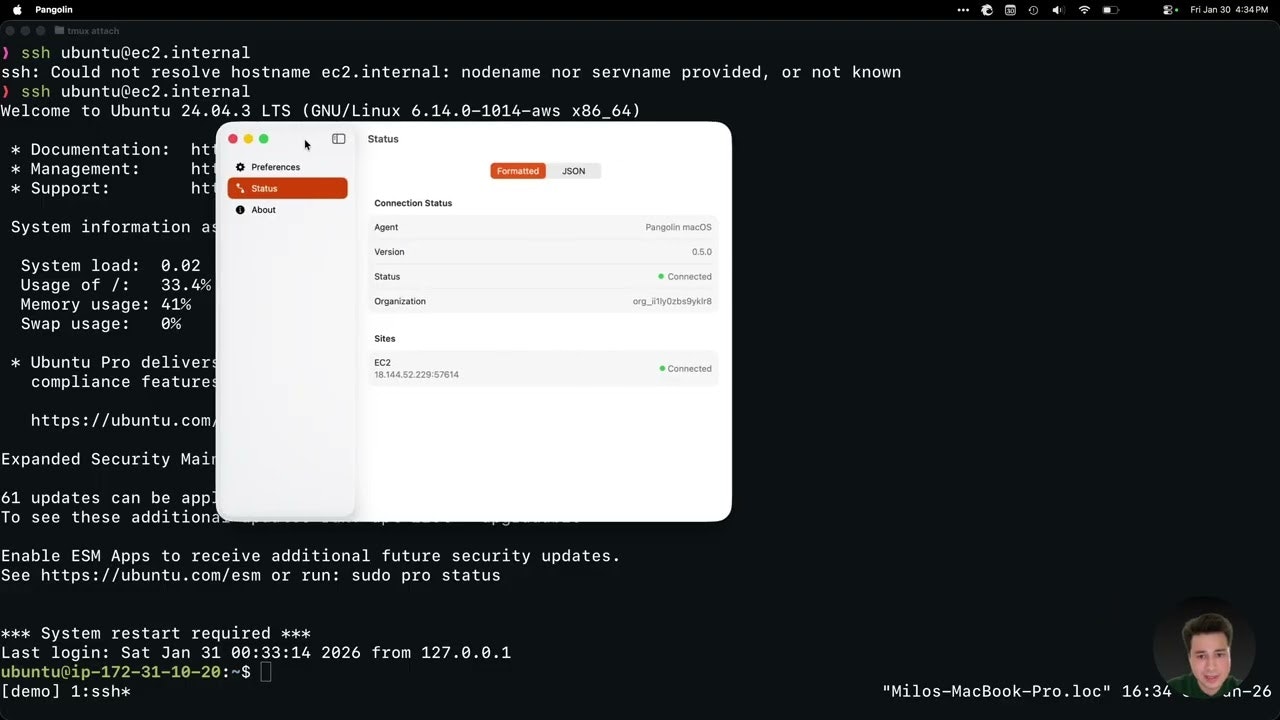Pangolin gallery image