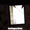 Cat Games 3D for Cats and Kittens