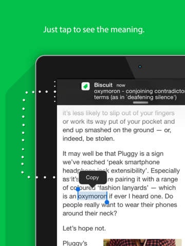 Biscuit gallery image