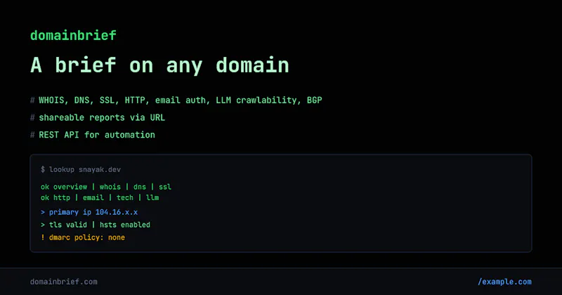 DomainBrief - domain lookup report screenshot 1