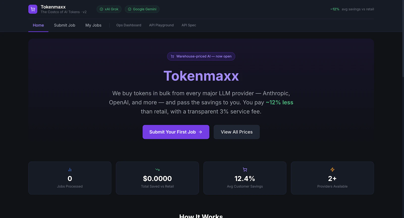Tokenmaxx screenshot 1