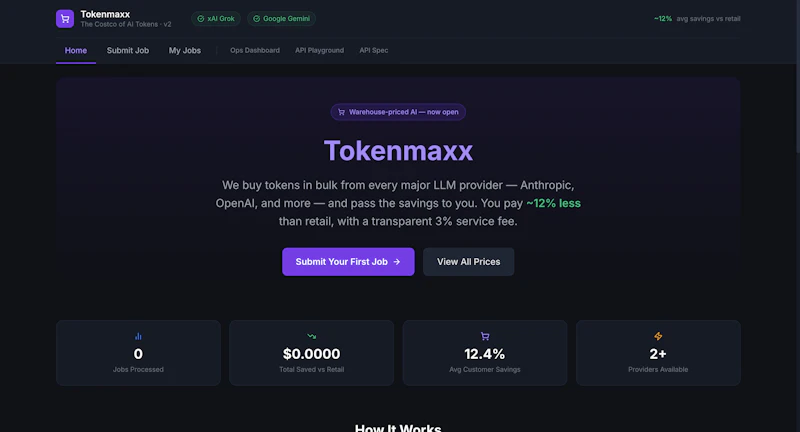 Tokenmaxx screenshot 1