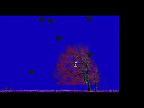 Bird Rush gallery image