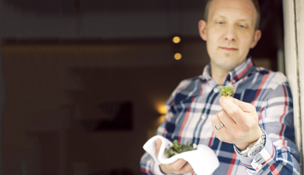 Plantui gallery image