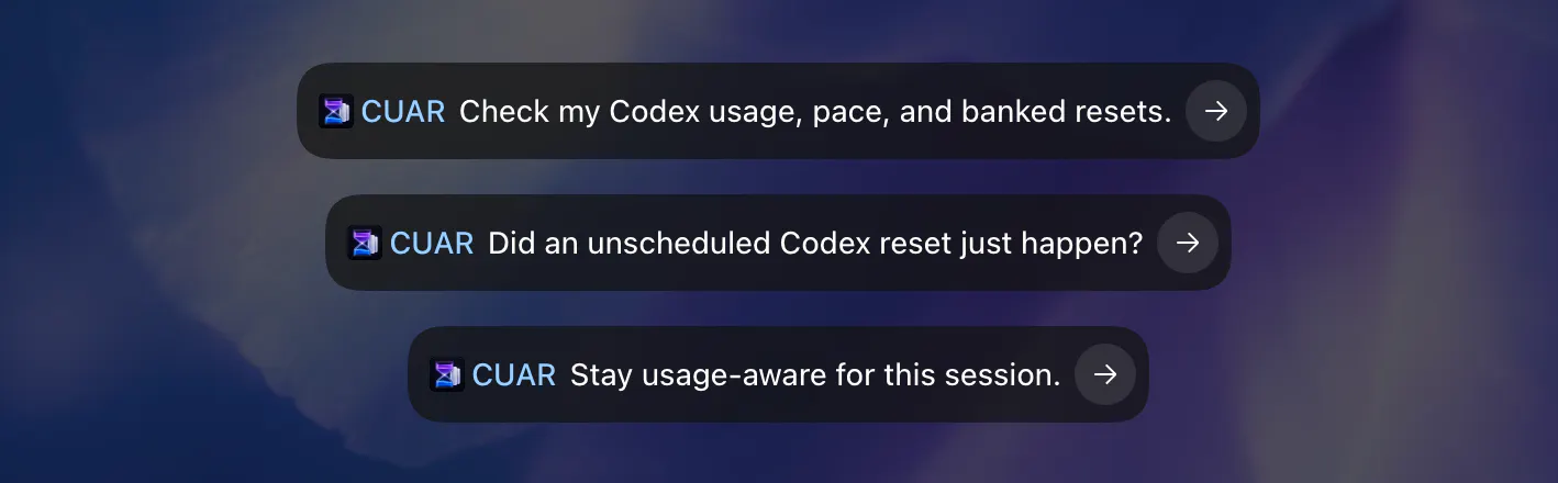 Codex Usage and Resets Plugin gallery image