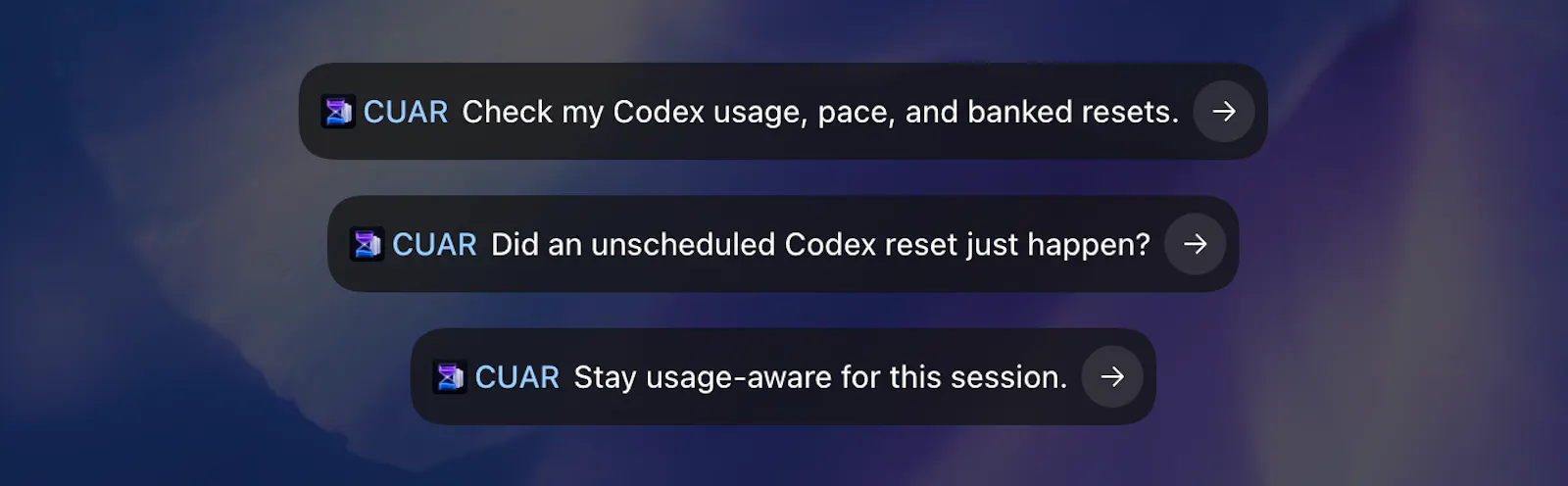Codex Usage and Resets Plugin screenshot 1