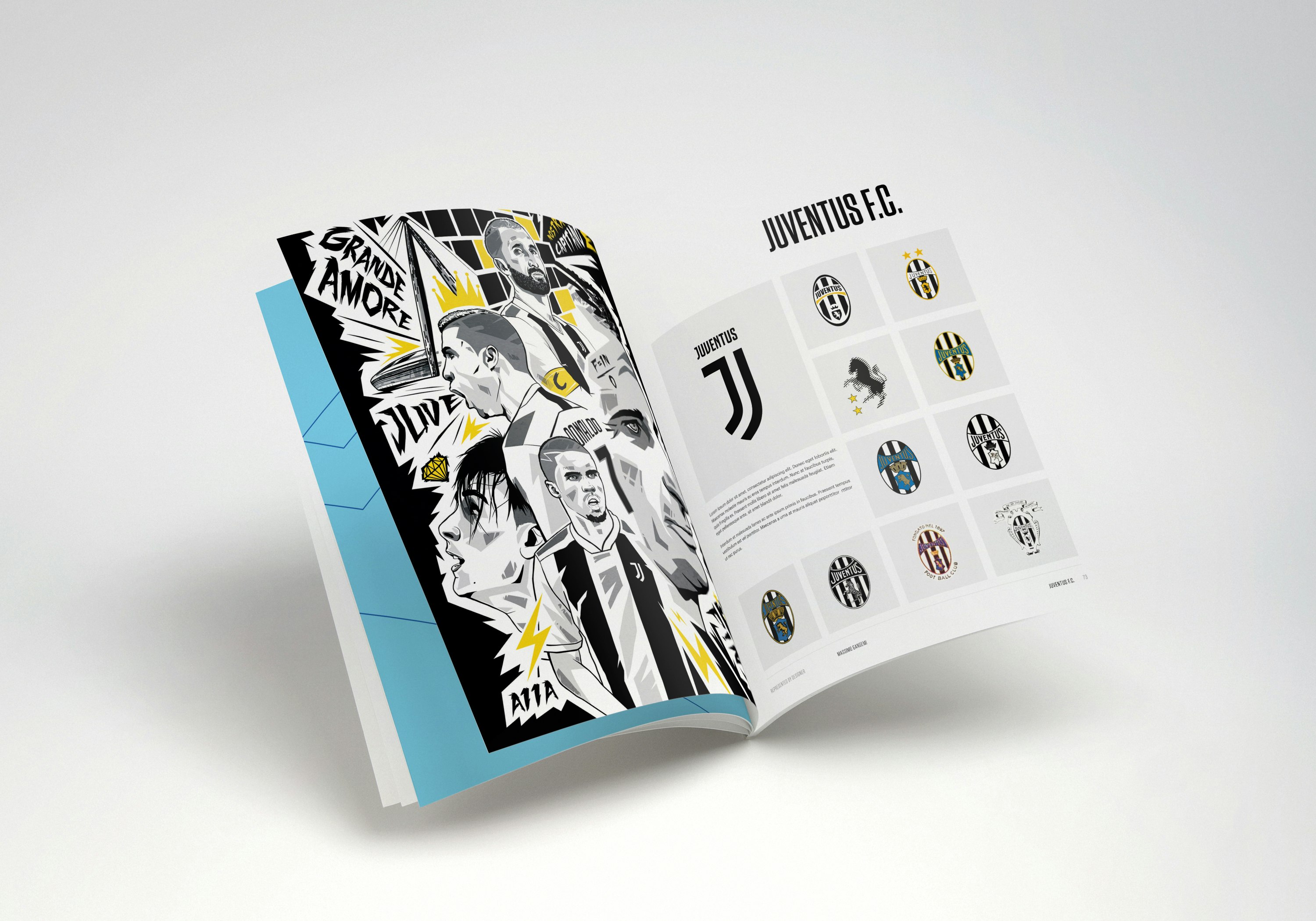 The Football Crest Index gallery image