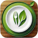 OlliChef: AI Meal Planner