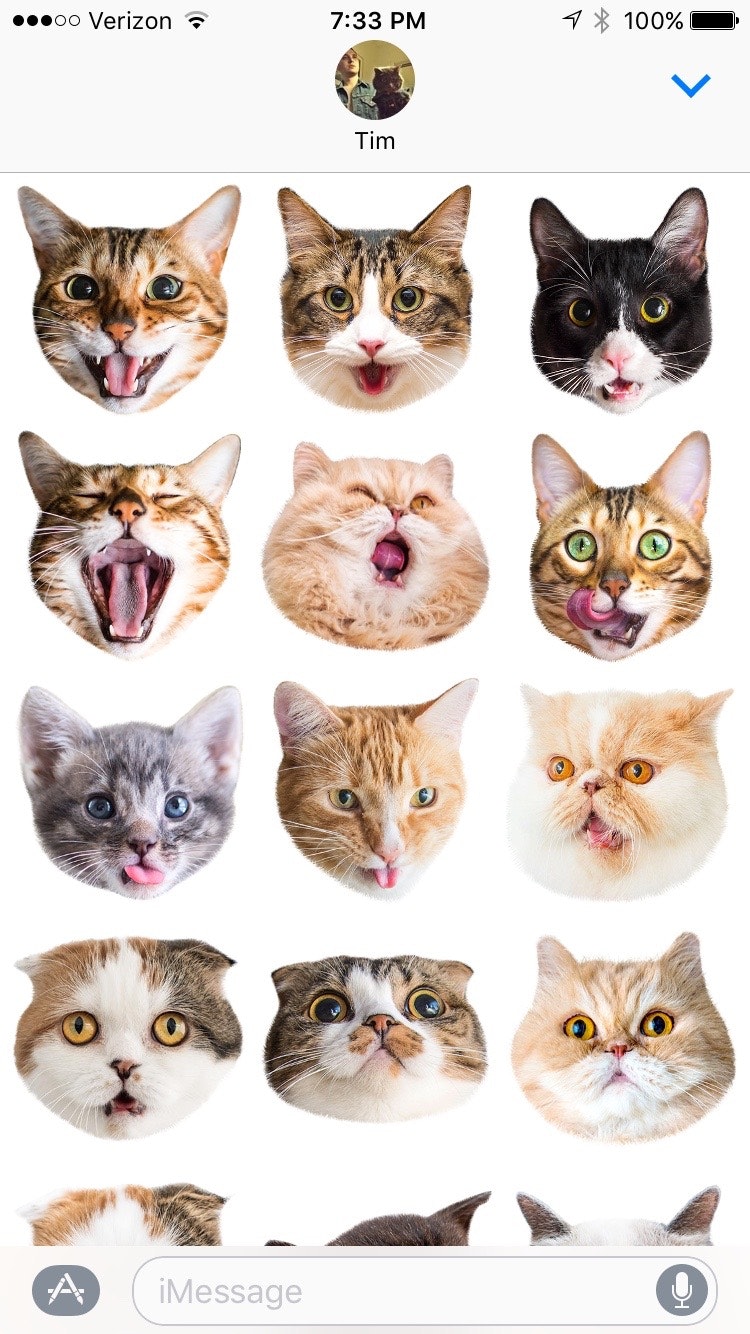Cat Stamp! gallery image