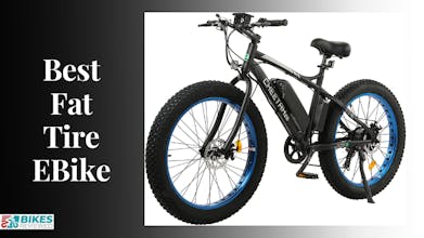 Fat Tire E-Bike gallery image