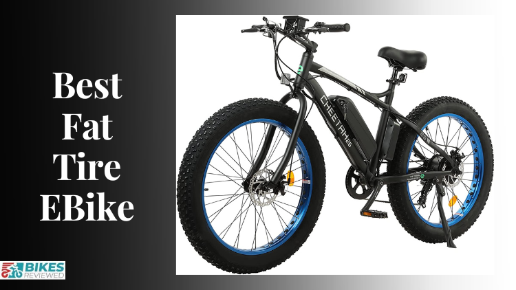वसा टायर ई-बाइक - वसा टायर ebikes के लाभों की खोज मीडिया 1