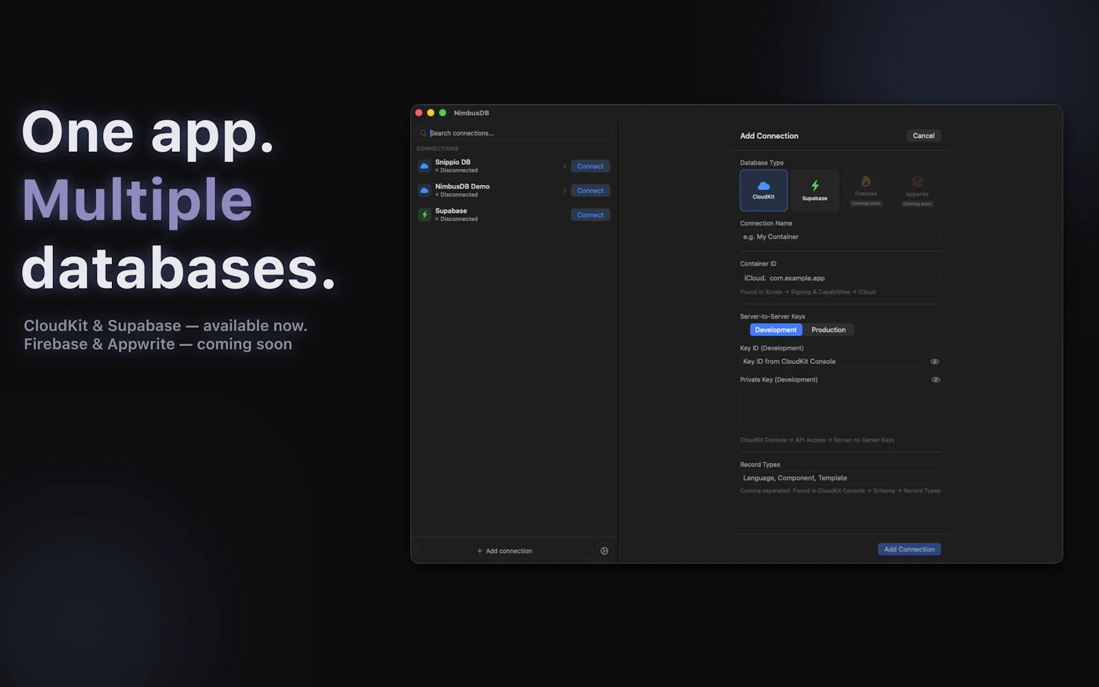 NimbusDB Studio screenshot 3