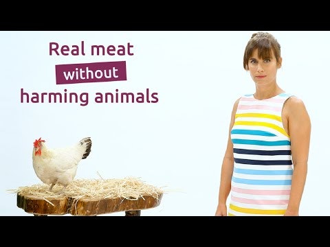 SuperMeat gallery image