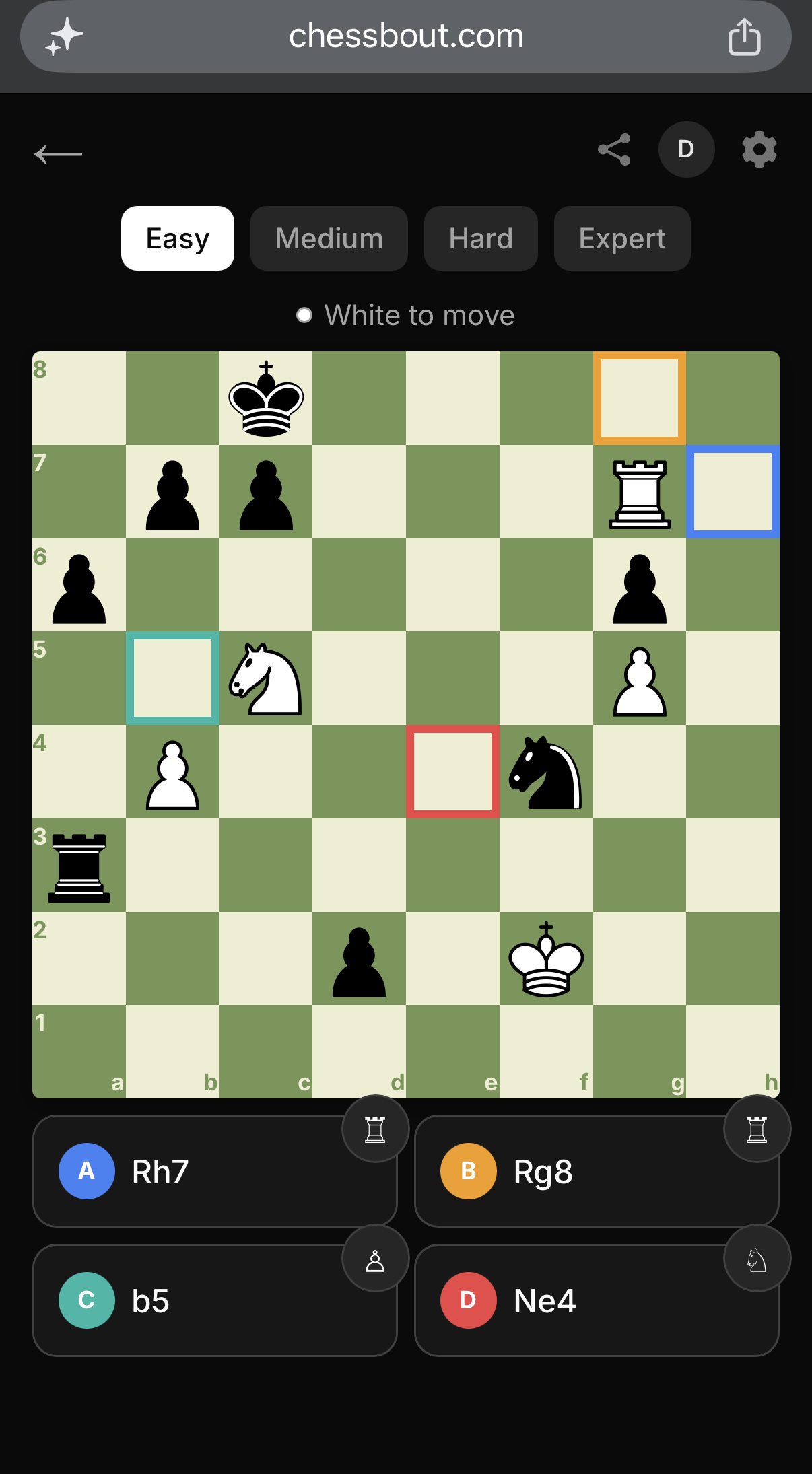 ChessBout gallery image