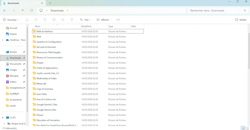 SortMyPC screenshot 3