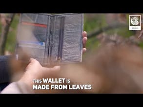 Zessoo gallery image