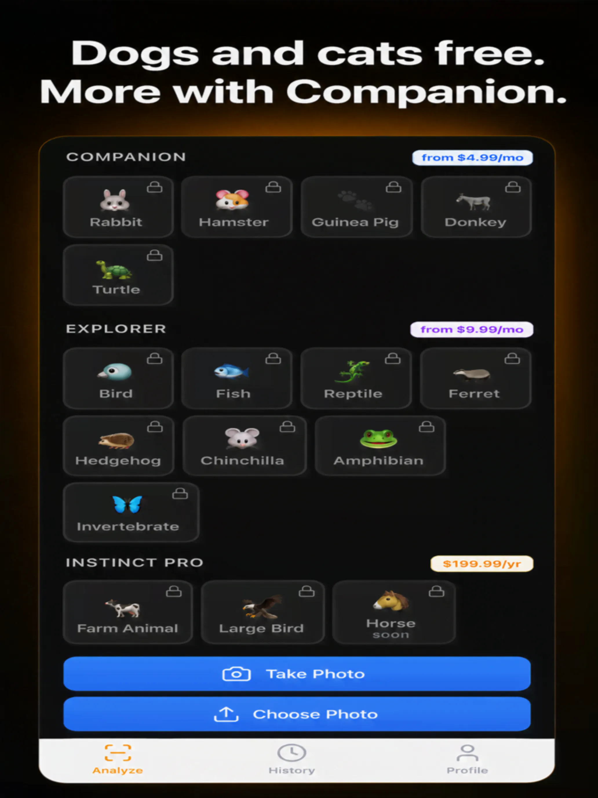 PetsenseAI gallery image