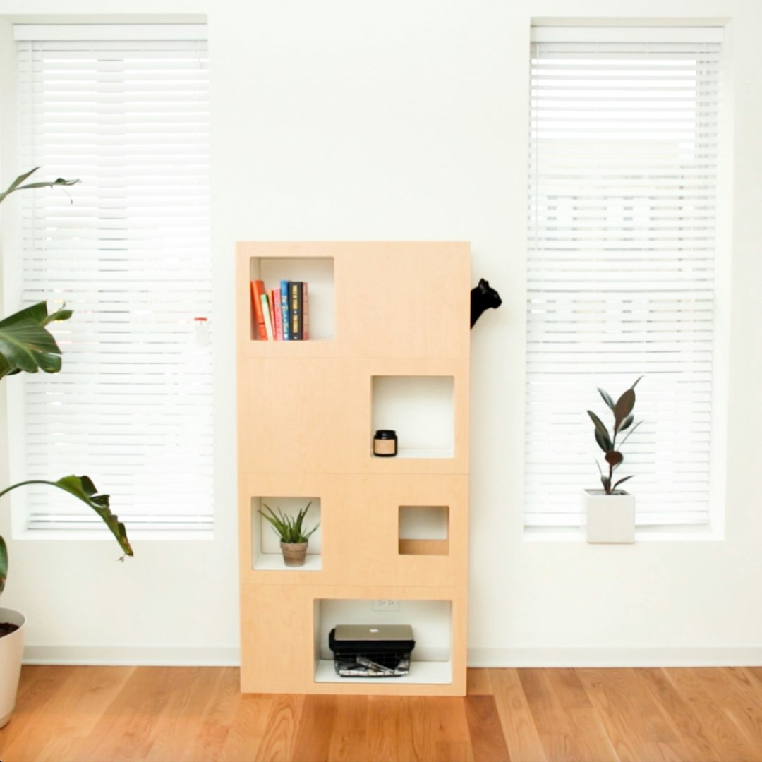 Cat Case on Kickstarter gallery image