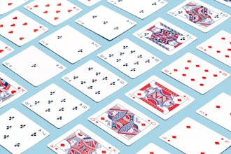 Yaniv! gallery image