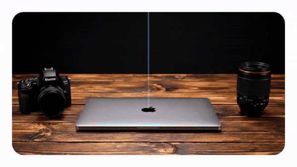 PurrfectBackup media 5