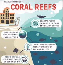 SustainaCities: Climate Genie gallery image