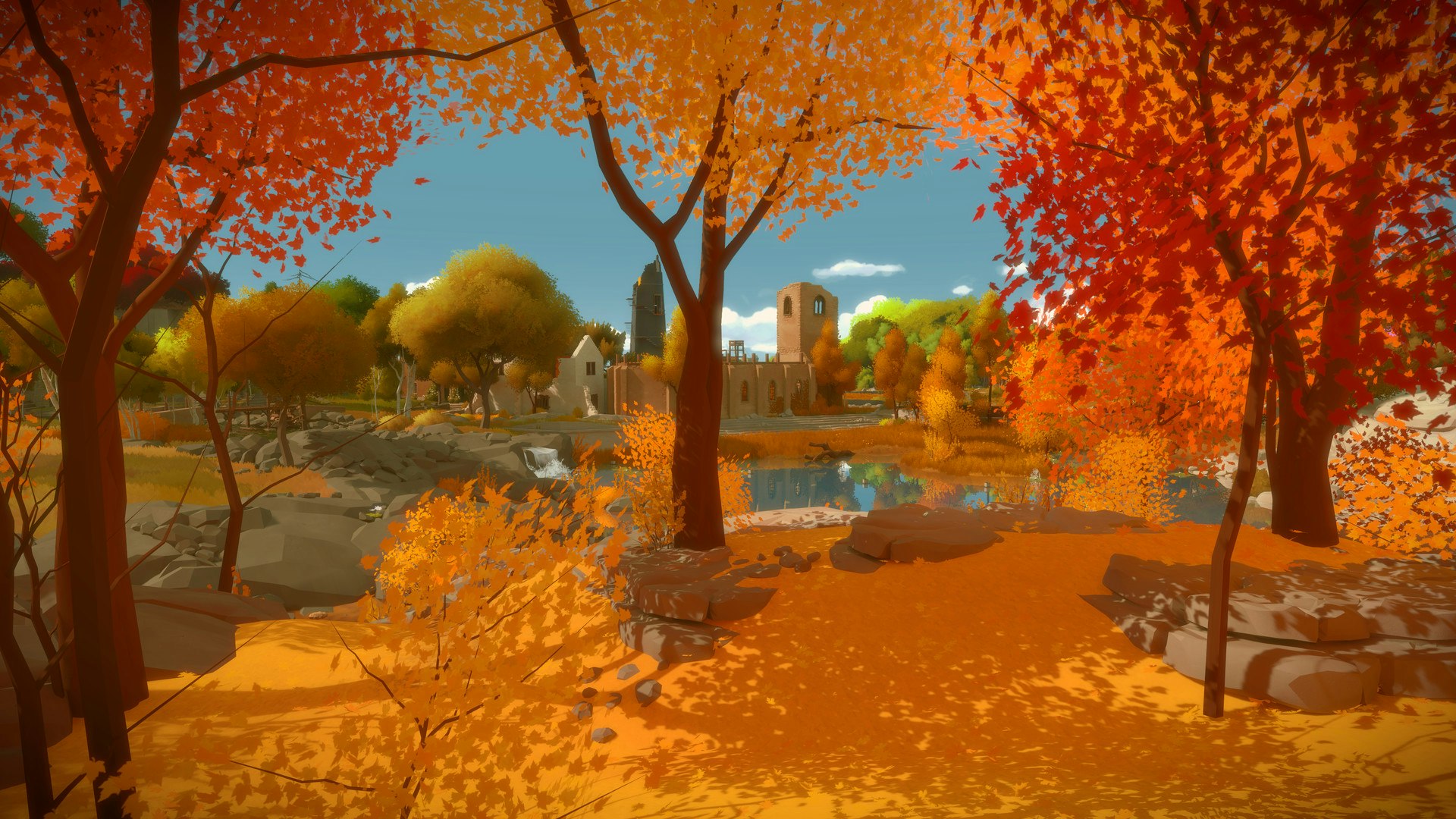 The Witness Image