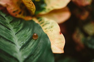 Sundots gallery image