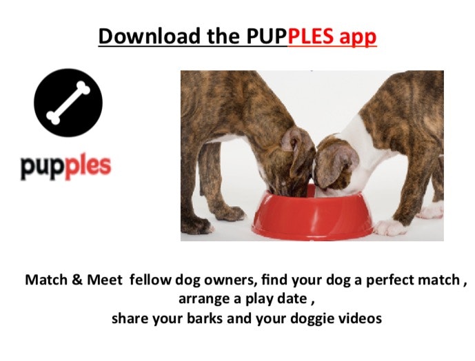 Pupples gallery image