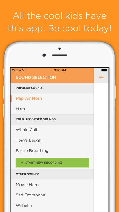 Ham Horn gallery image