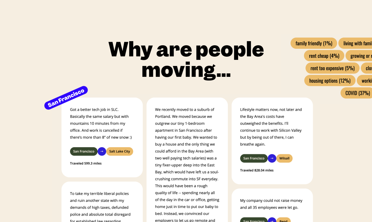 Transplant.to gallery image