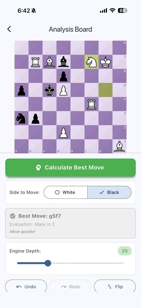 Chess Puzzle Pro - Screenshot 3 showing product features and functionality