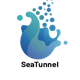 Apache SeaTunnel
