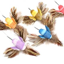 Interactive Bird Toy For Cats gallery image