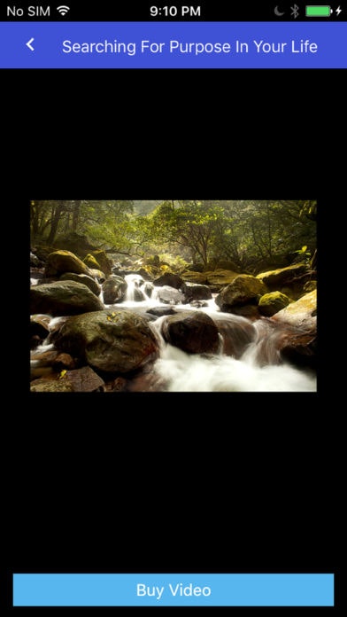 Fear2Peace gallery image