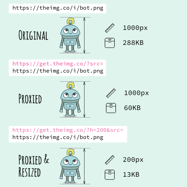 The Image Company gallery image