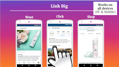 Link Big gallery image