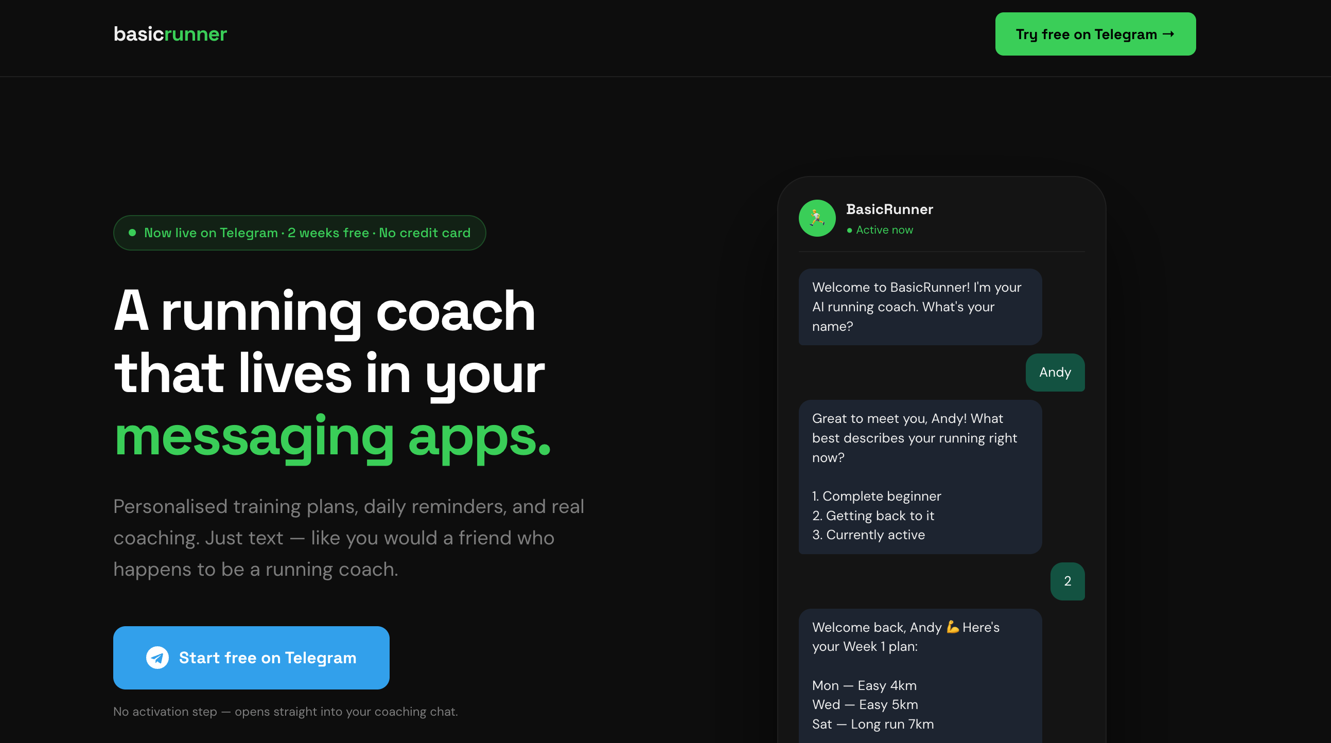 Basic Runner gallery image