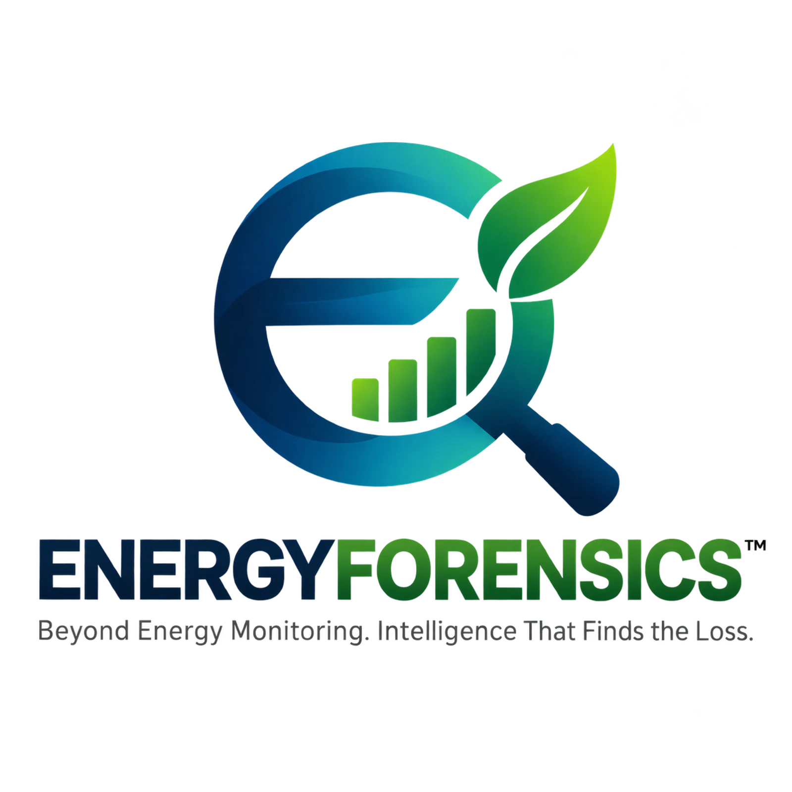 ENERGYFORENSICS™ screenshot 2
