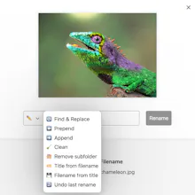 neoRename - WP plugin to rename images gallery image