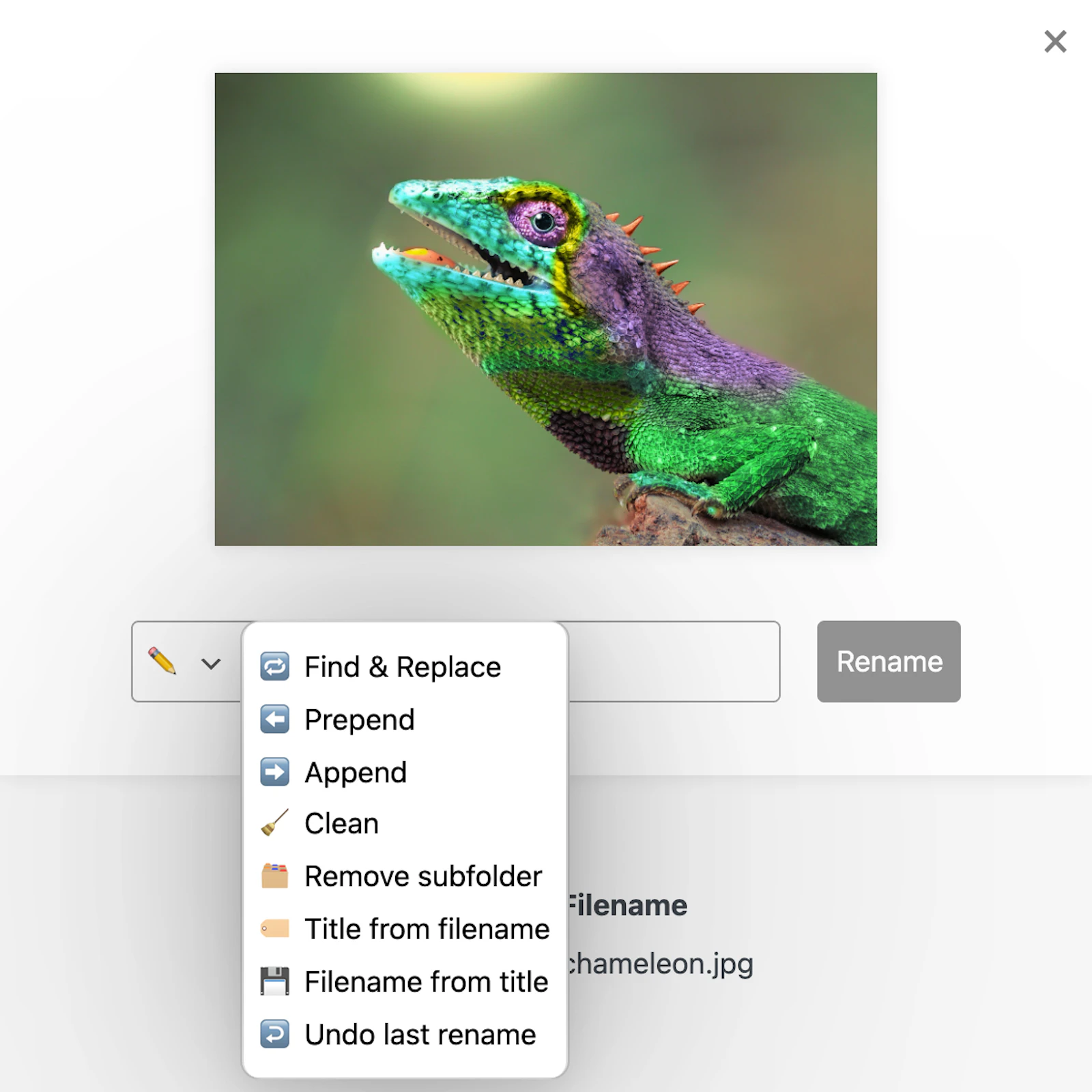 neoRename - WP plugin to rename images screenshot 5