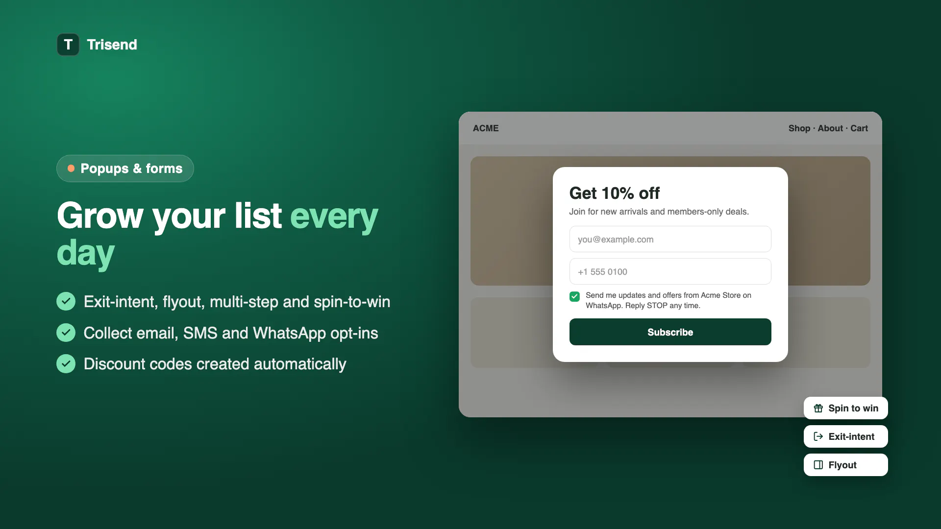 Trisend: Email, WhatsApp & SMS gallery image