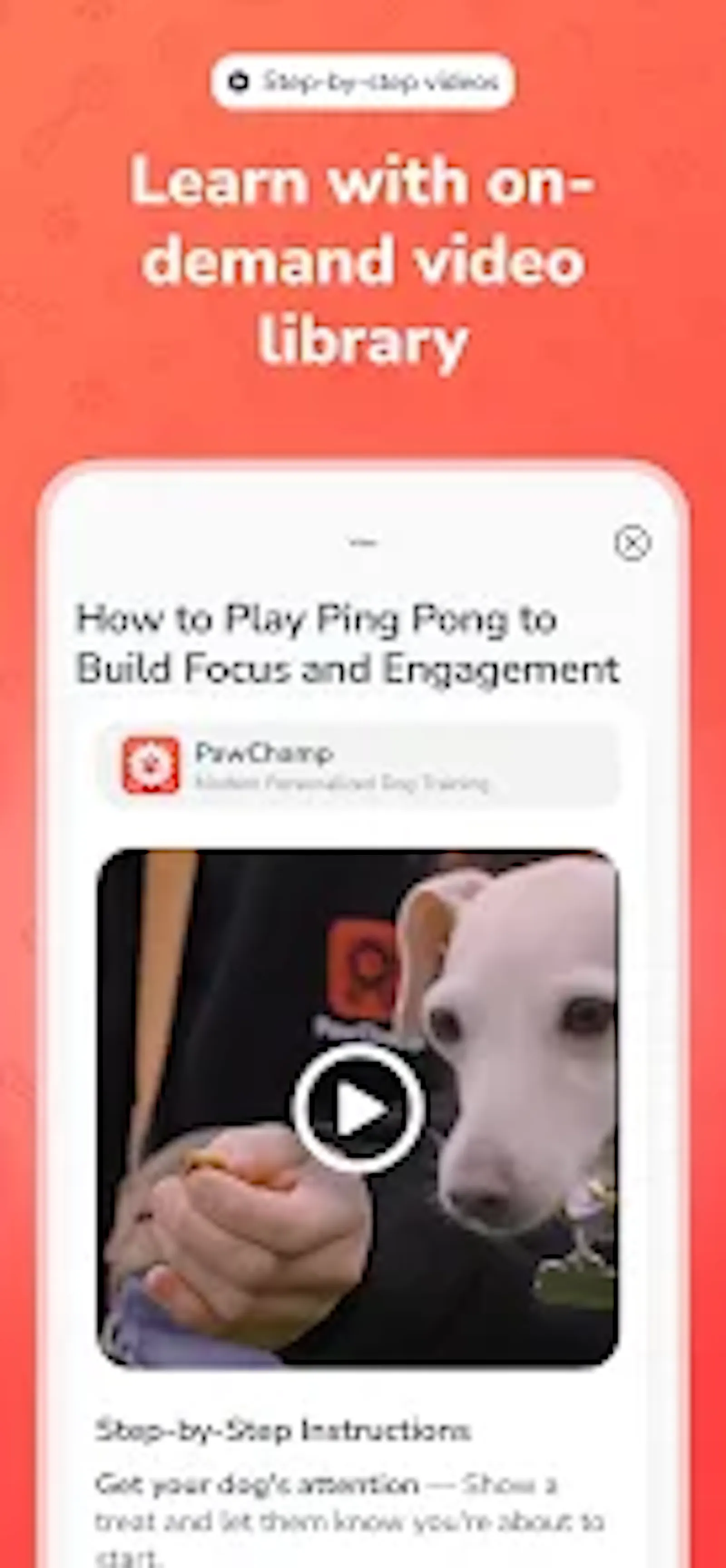 PawChamp screenshot 5