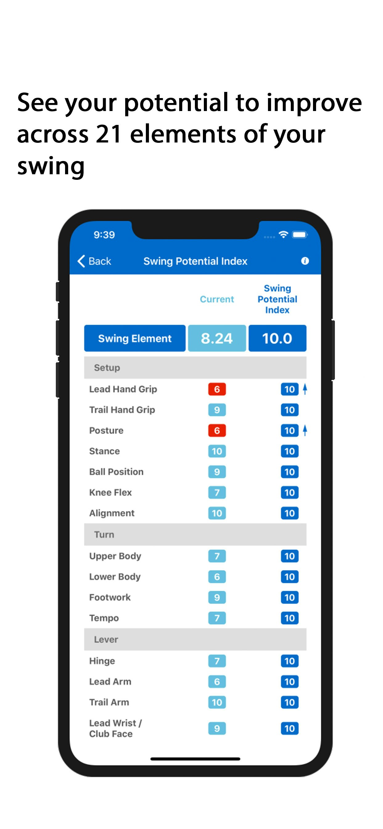 Swing Index gallery image