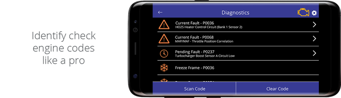 Kiwi 4 gallery image