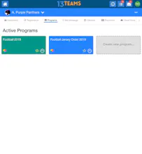 13 Teams - Life Organized gallery image